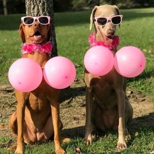 Meet your Posher, Kari